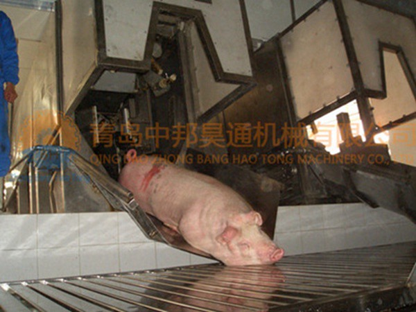 生猪屠宰设备之骑跨式三点麻电输送机